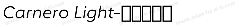 Carnero Light字体转换